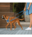 Rogz UTILITY Stop-Pull Harness