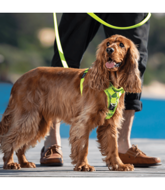 Rogz UTILITY Control Harness