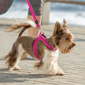 Rogz UTILITY Fast-Fit Harness