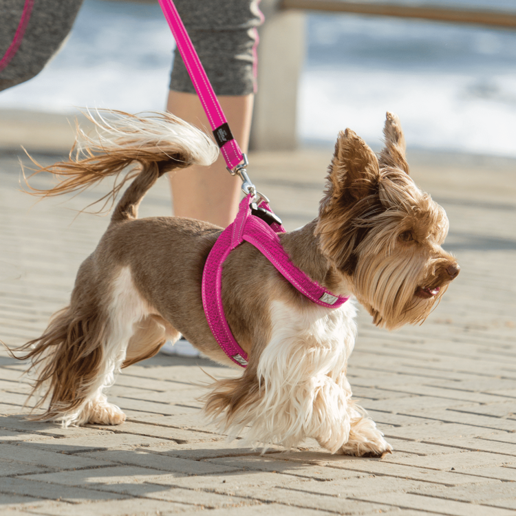 Rogz UTILITY Fast-Fit Harness