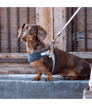 Rogz URBAN Fast Fit Adjustable Harness