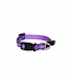 Rogz FANCY DRESS Classic Collar