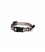 Rogz FANCY DRESS Classic Collar