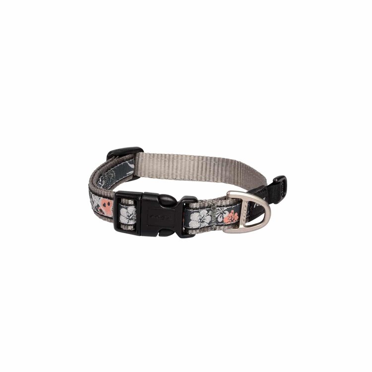 Rogz FANCY DRESS Classic Collar