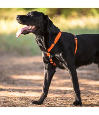 Rogz UTILITY Classic Harness