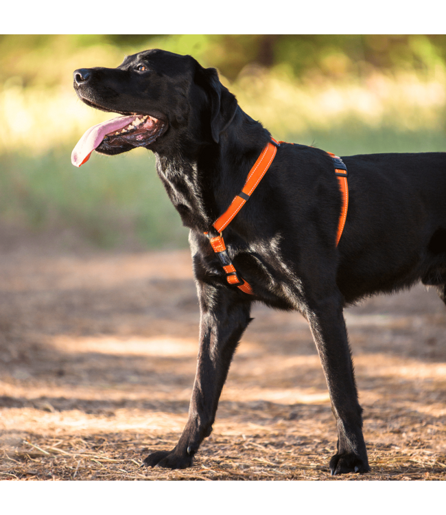 Rogz UTILITY Classic Harness