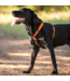 Rogz UTILITY Classic Harness