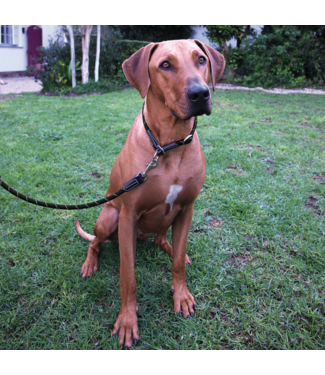 Rogz ROPE Control Collar Web