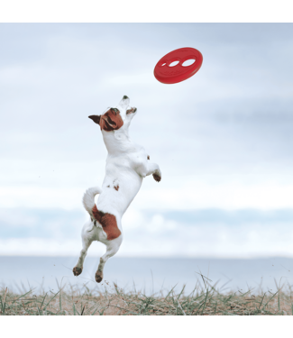 Rogz TOYZ RFO Fetch Flying Toy