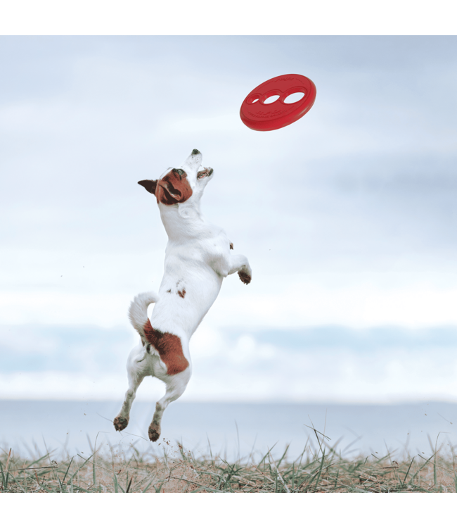 Rogz TOYZ RFO Fetch Flying Toy