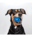 Rogz TOYZ Fred Treat Toy M (6.4 cm)