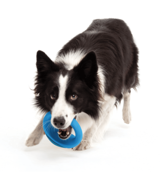 Rogz TOYZ Pop-Upz Fetch Toy