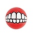 Rogz TOYZ Grinz Ball