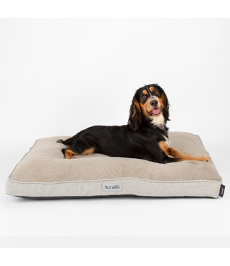 Scruffs Harvard Memory Foam Orthopedisch Kussen