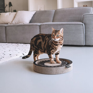 District 70 Krabkarton "Bloom"