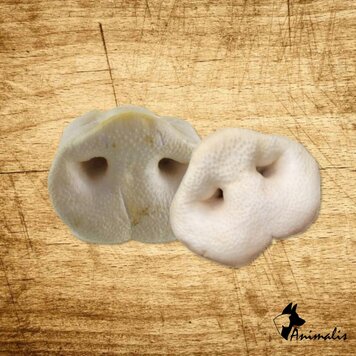 Animalis "Schweinenase" (1 St)
