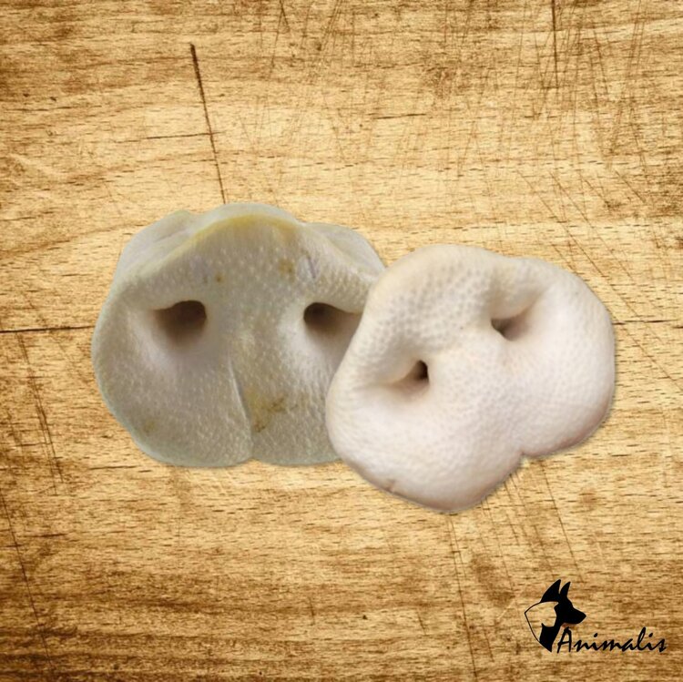 Animalis "Schweinenase" (1 St)