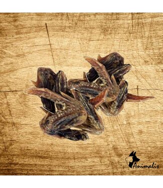 Animalis "Duck Wings"