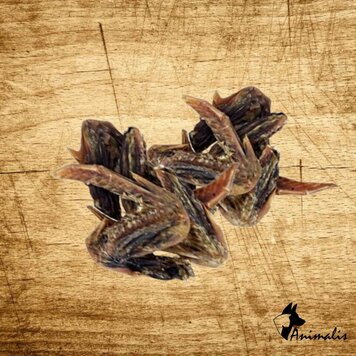 Animalis "Entenflügel"