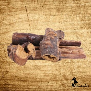 Animalis "Pferd Lunge"