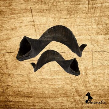 Animalis "Ram's Horn" (2 pc)