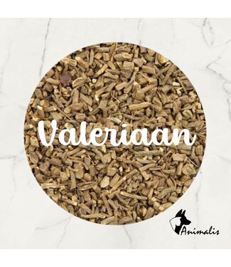 Animalis Baldrianwurzel (Valeriana Officinalis) Geschnitten