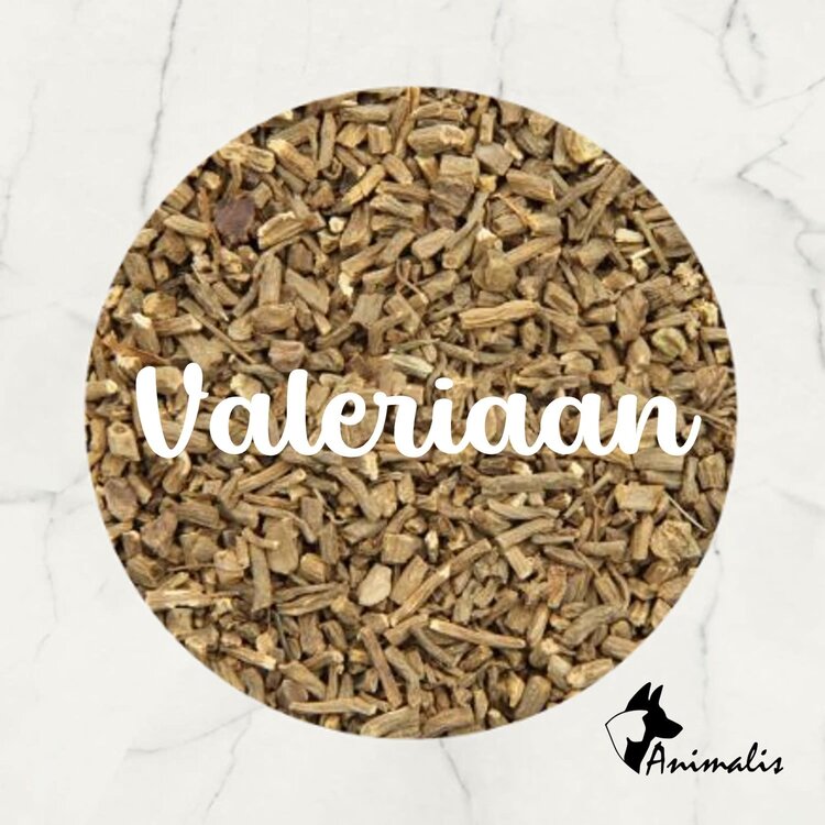 Animalis Valerian Root (Valeriana Officinalis) Cut