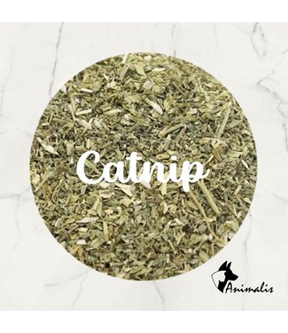 Animalis "Catnip (Nepeta Cataria) "