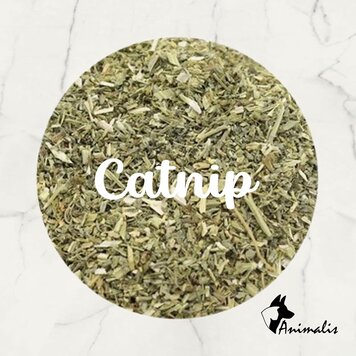 Animalis "Catnip (Nepeta Cataria) Gesneden"