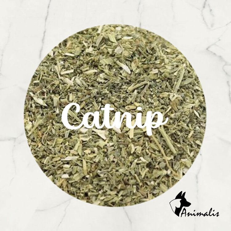 Animalis "Catnip (Nepeta Cataria) Gesneden"