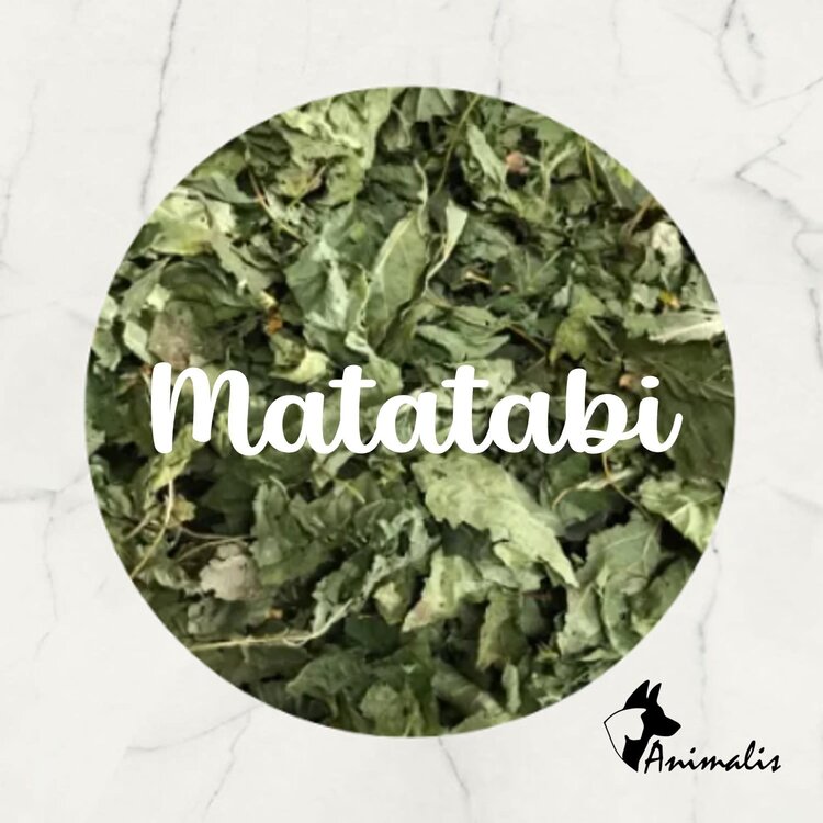 Animalis "Matatabi / Silver Vine (Actinidia Polygama) Leaves Cut"