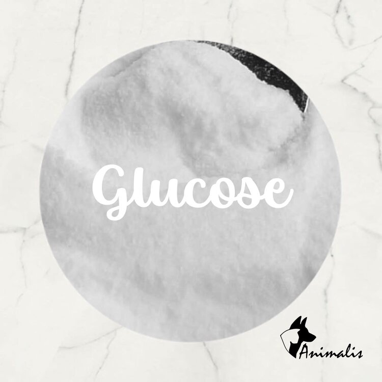 Animalis Glucose