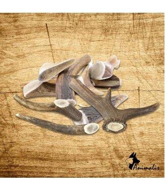 Animalis "Deer Antler"