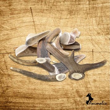 Animalis SNACK "Hertengewei / Antler"
