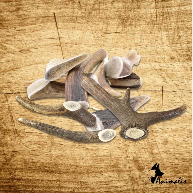 Animalis SNACK "Hertengewei / Antler"
