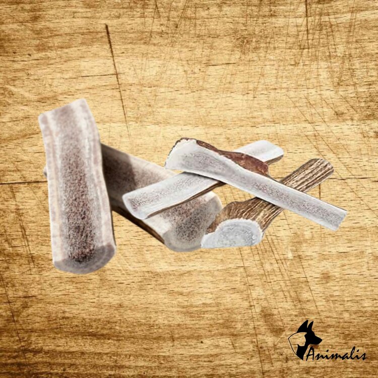 Animalis "Deer Antler Halved"