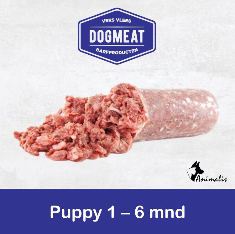Dogmeat/KVV "Welpe 1-6 Monate"