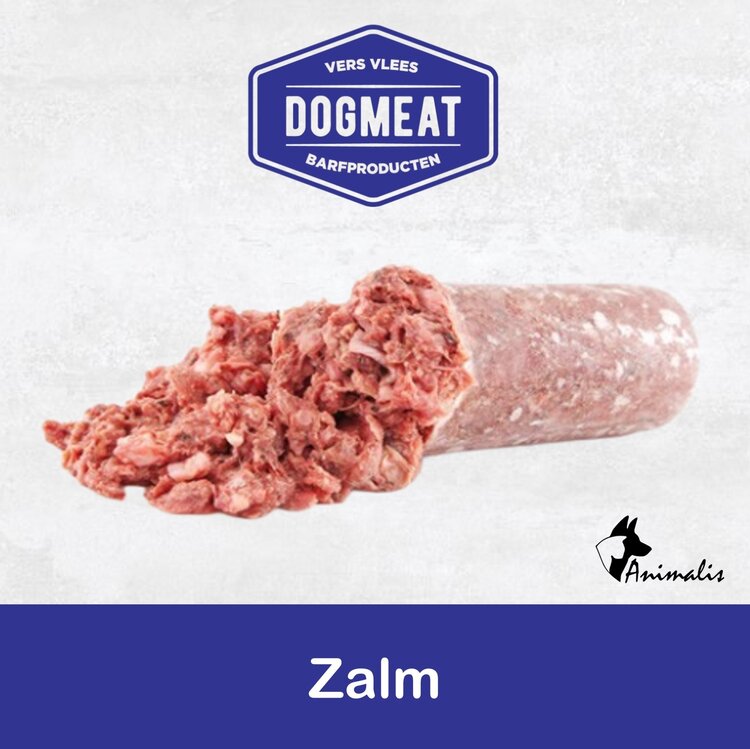 Dogmeat/KVV "Salmon"