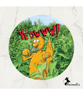 Yeowww! Catnip