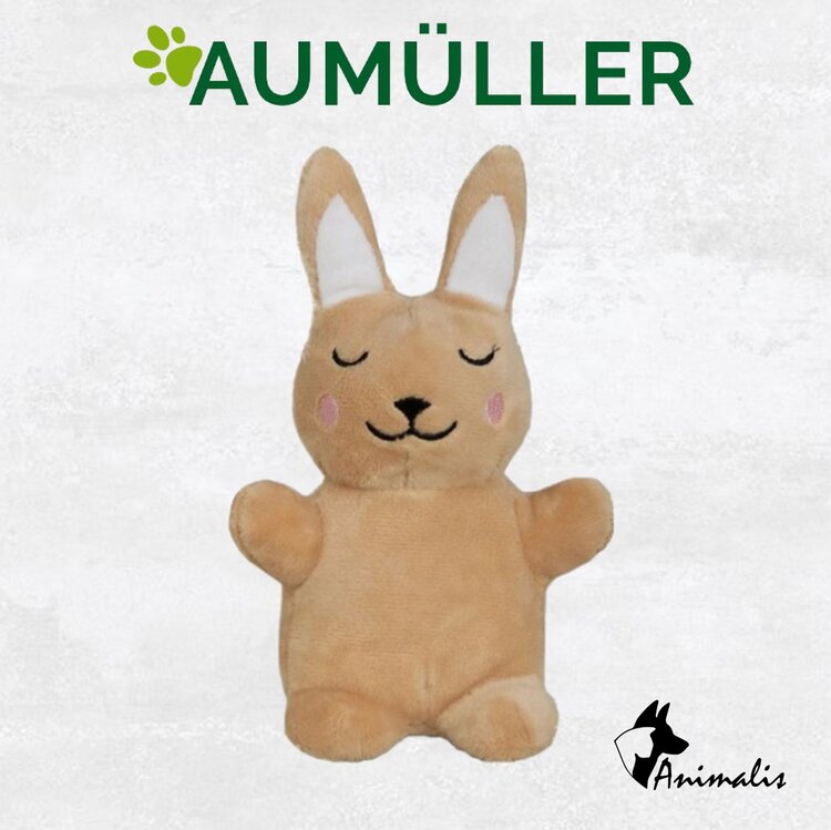 Aumuller "Baldi Bunny"