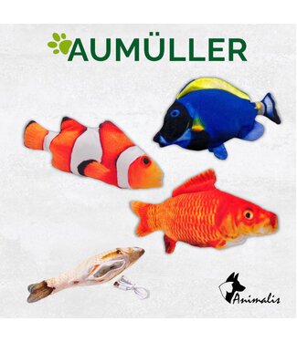Aumuller Zappelfische