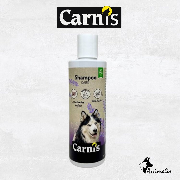 Carnis "Shampoo"