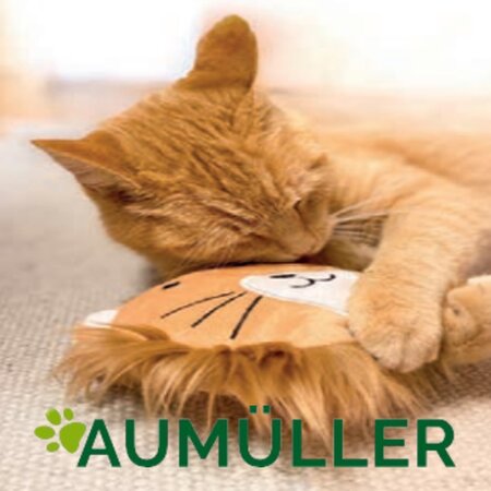 Aumüller