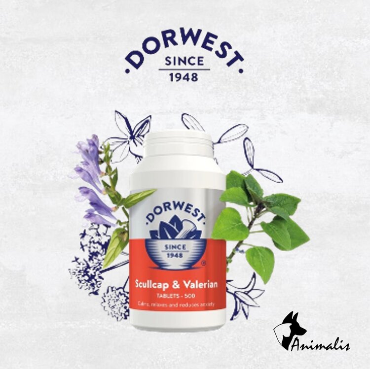 Dorwest "Scullcap & Valerian"