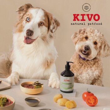 Kivo