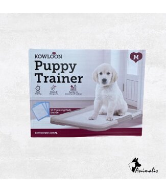 Kowloon Puppy Trainer