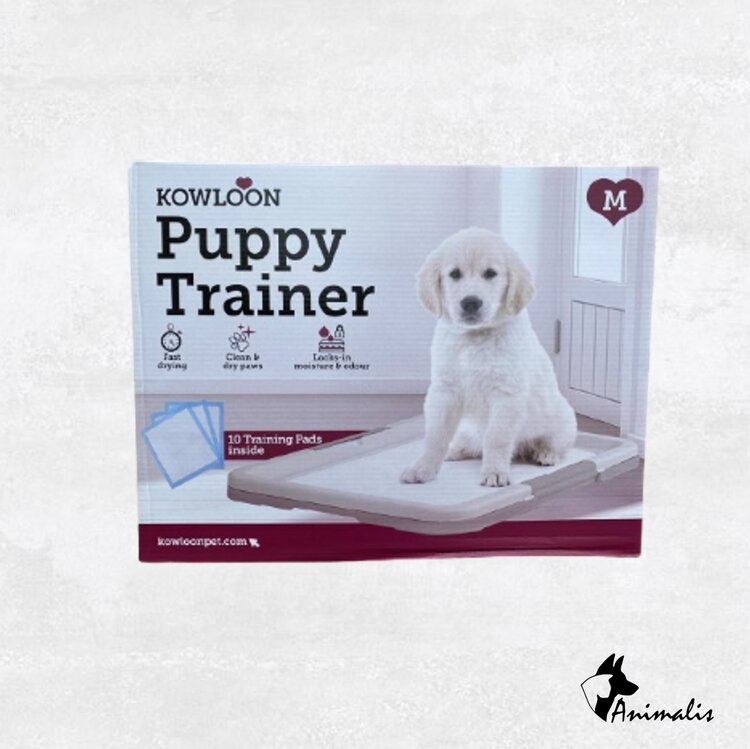 Kowloon Puppy Trainer