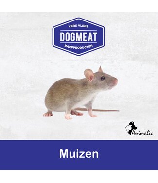 Dogmeat/BARF "Prey Animal: Mice"
