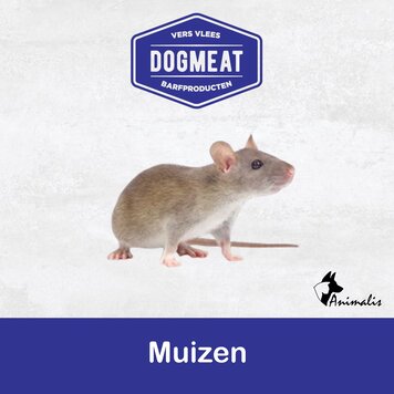 Dogmeat/BARF "Beutetier: Mäuse"