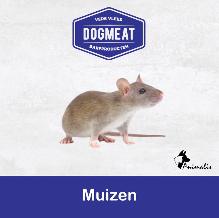 Dogmeat/BARF "Prooidier: Muizen"